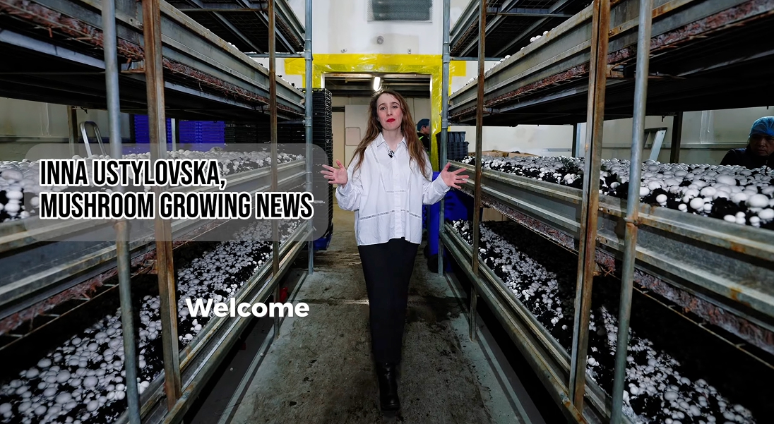 Mushroom Growing News - Inna Ustylovska